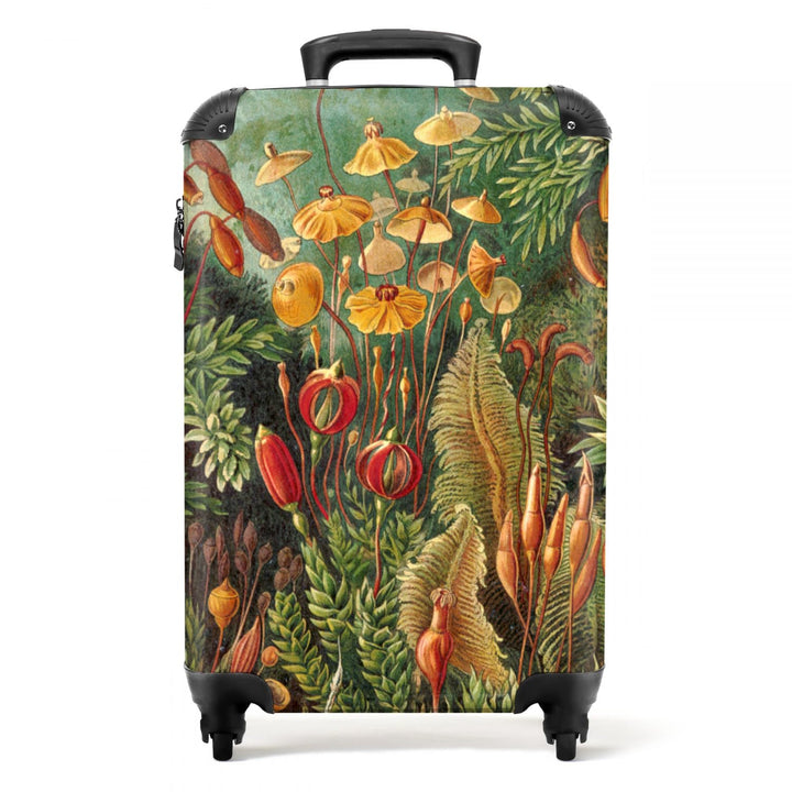 NoBoringSuitcases.com® Koffer Handgepäck Trolley Rollkoffer Kleine Reisekoffer mit 4 Rollen - Vintag