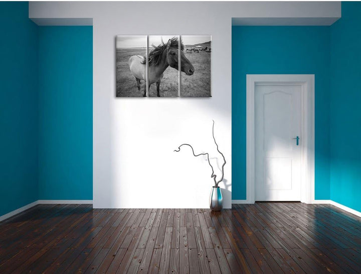 Isländer Pferde in der Wildnis als Leinwandbild/Grösse: 3 Teilig (120x80 cm) cm/Wandbild/Kunstdruck/