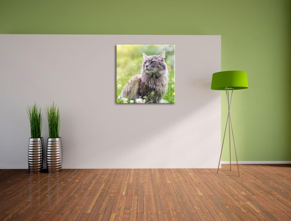 Katze in der Wildnis, Format: 70x70 auf Leinwand, XXL riesige Bilder fertig gerahmt mit Keilrahmen,
