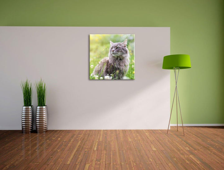 Katze in der Wildnis, Format: 70x70 auf Leinwand, XXL riesige Bilder fertig gerahmt mit Keilrahmen,