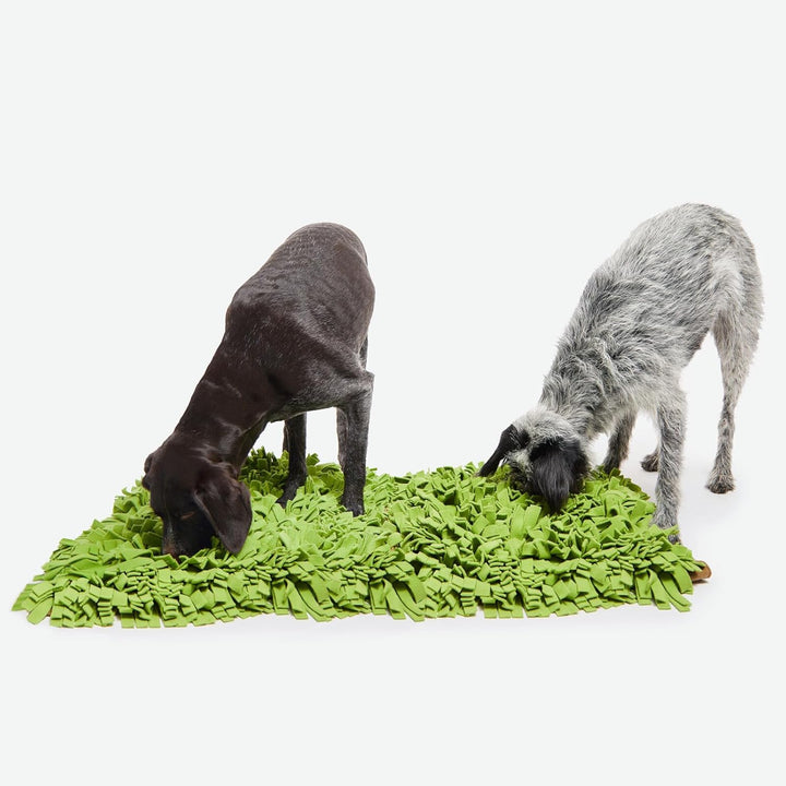 KNAUDER'S Best - XL Schnüffelteppich für Hunde in 90cm x 70cm - Schnüffelteppich mit mehr als 2.000