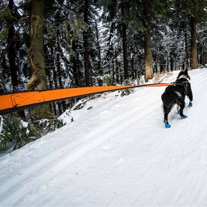 Non-Stop dogwear Bungee Leash LTD | Leine für bikejøring, Scootering und skijøring | 1644 | 2,8m | F