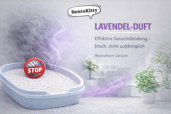 BentoKitty Katzenstreu (30L, 3er Pack) mit Lavendel Duft, Klumpend, weiss, feinkörnig, Klumpstreu au