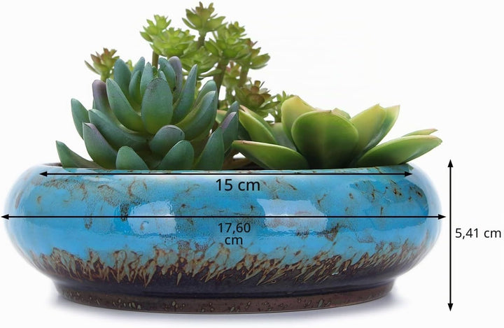 VanEnjoy 18,5 cm grosse, grosse, flache Sukkulenten-Keramik-Übertöpfe mit Ablaufloch, Bonsai-Töpfe f