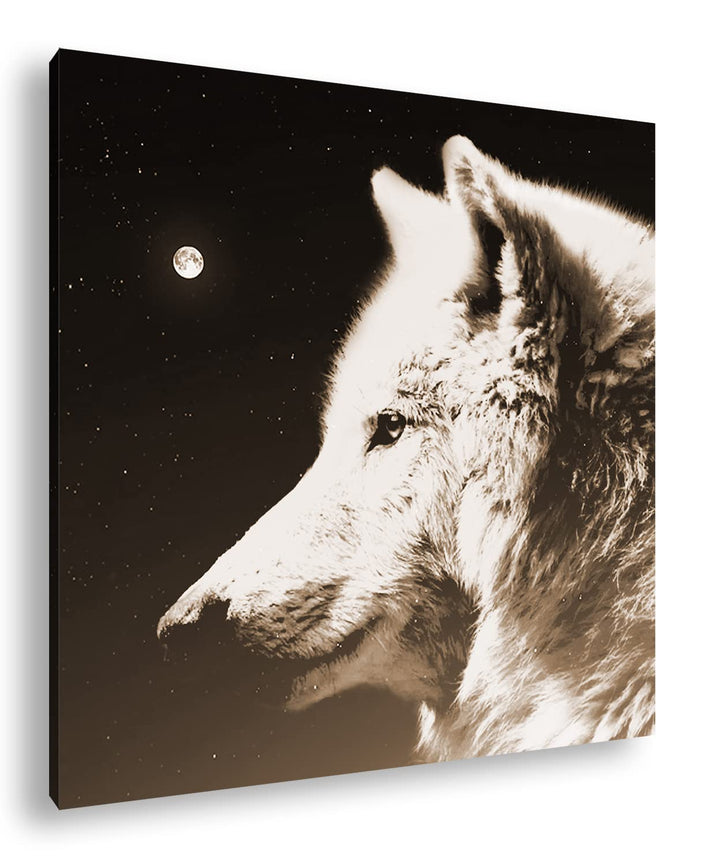 deyoli einsamer stolzer Wolf Format: 60x60 Effekt: Sepia als Leinwandbild, Motiv fertig gerahmt auf