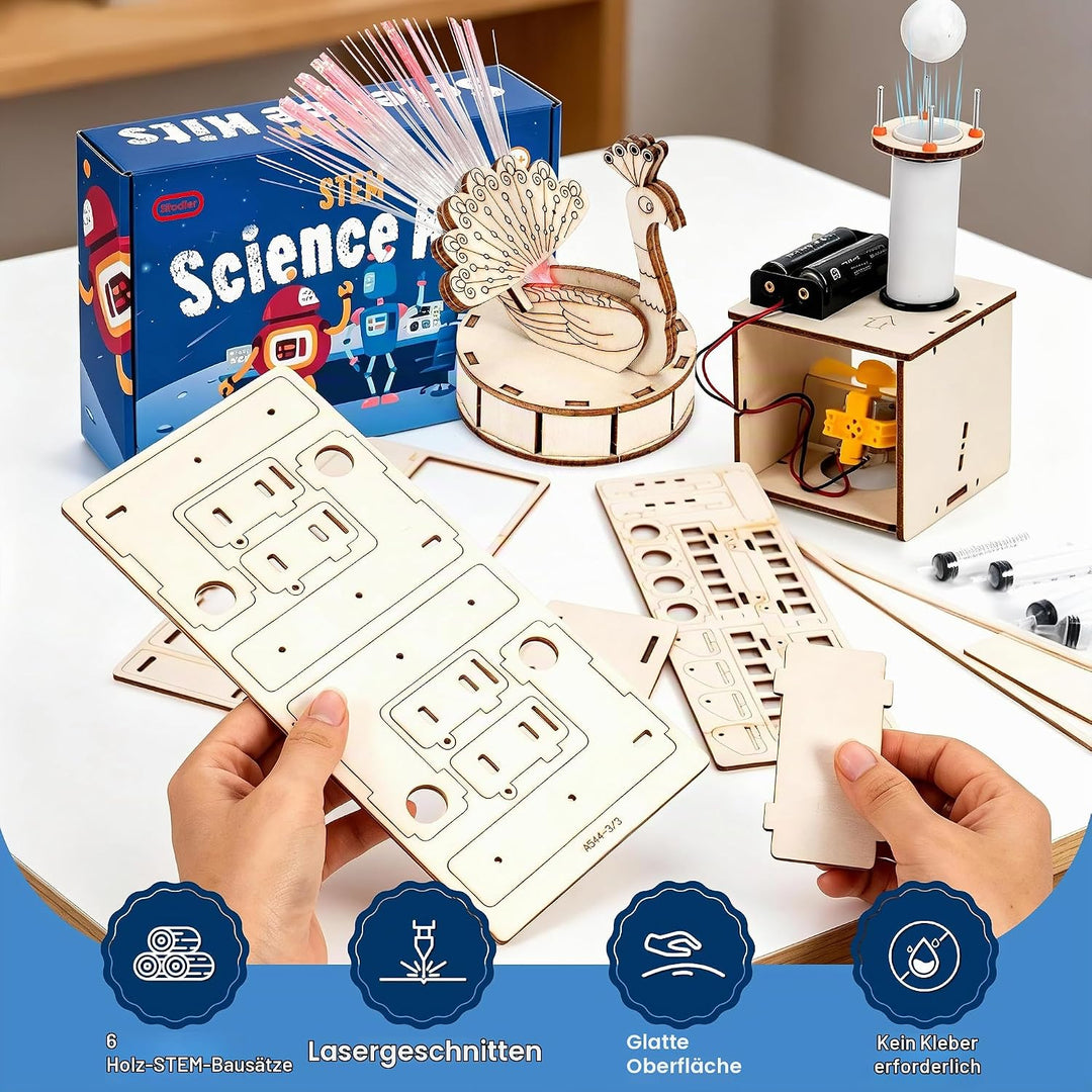 Sitodier 6 individuelle Mint-Experimentiersets für Kinder, Experimentierset aus Holz, Mint-Spielzeug