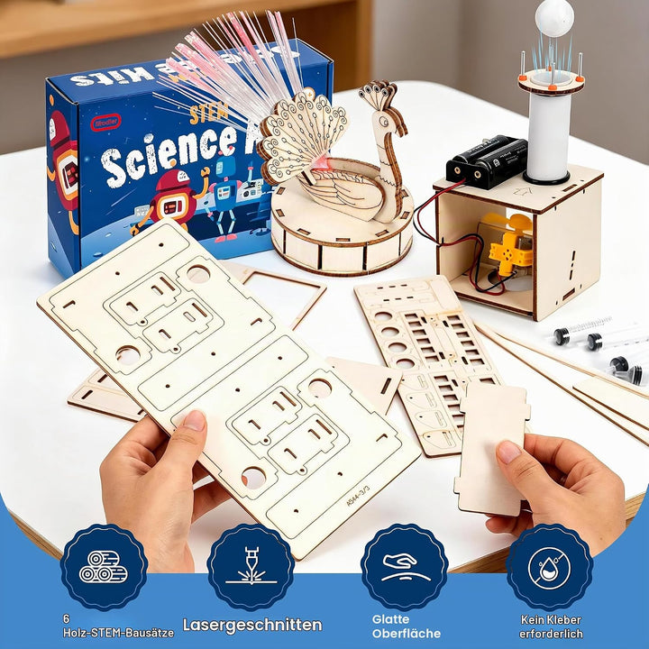 Sitodier 6 individuelle Mint-Experimentiersets für Kinder, Experimentierset aus Holz, Mint-Spielzeug
