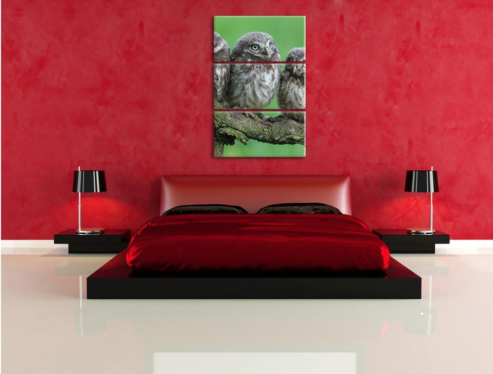 Pixxprint DREI Eulen auf AST als Leinwandbild/Grösse: 3 Teilig (120x80) cm/Wandbild/Kunstdruck/ferti