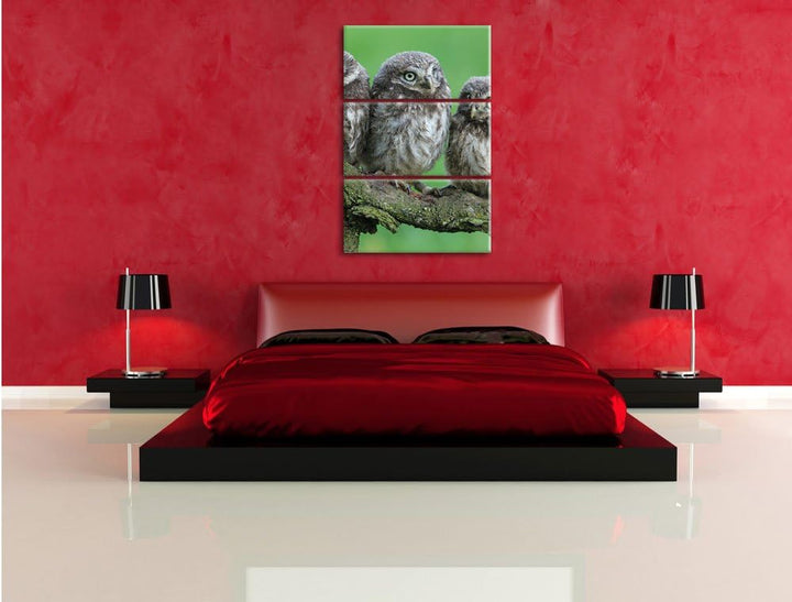 Pixxprint DREI Eulen auf AST als Leinwandbild/Grösse: 3 Teilig (120x80) cm/Wandbild/Kunstdruck/ferti