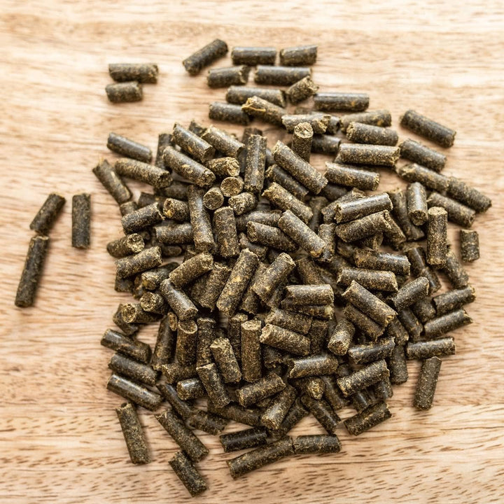 St. Hippolyt Anti-Stress-Kräuterpellets 10 kg- erhöht die psychische Belastbarkeit des Pferdes in St