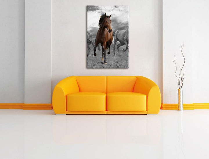 Pixxprint Mustangherde im Sand Schwarz/weiss, Format: 70x100 auf hochkantiges Leinwand, XXL riesige