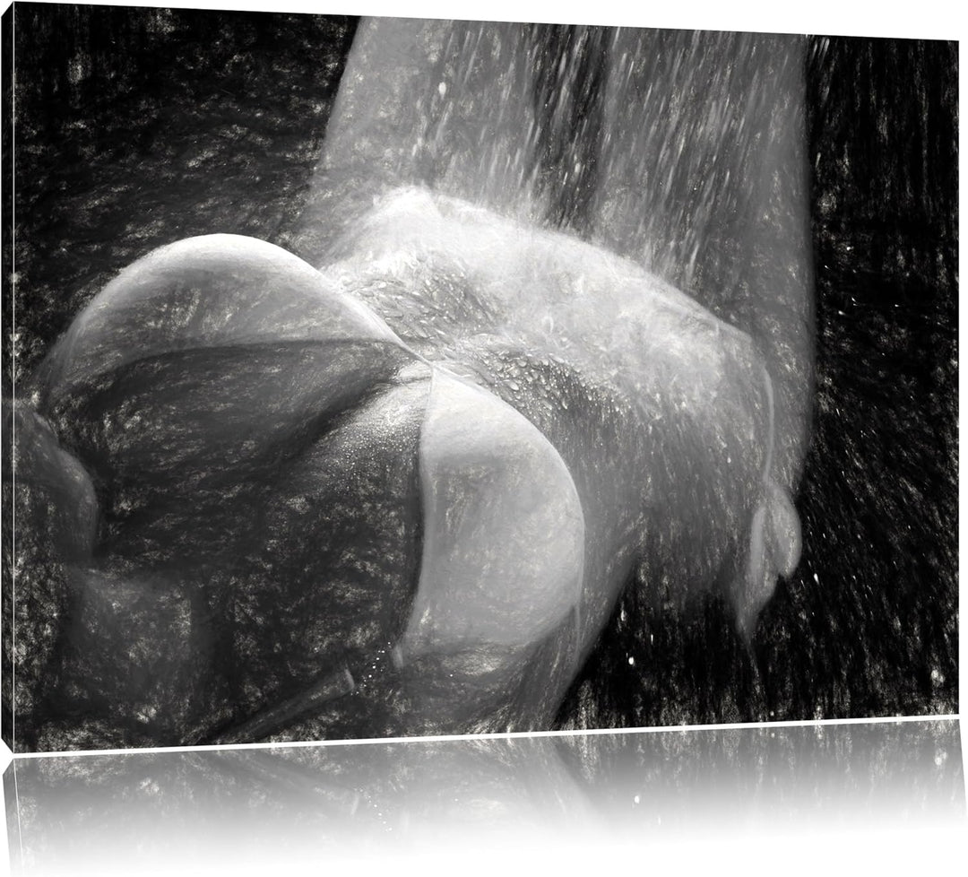 Pixxprint Frau im Bikini unter Einer Dusche als Leinwandbild/Grösse: 100x70 cm/Wandbild/Kunstdruck/f