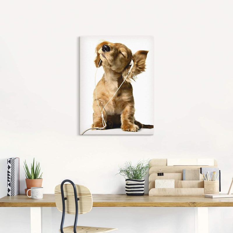 Artland Leinwandbild Wandbild Bild auf Leinwand 60x80 cm Wanddeko Hund Tiere Musik Dackel Welpen Lus