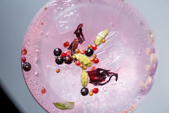 Gin Botanicals Basic Set | 5 hochwertige Gin Tonic Gewürze Box inkl. Rezeptbuch | Geschenkset für Mä