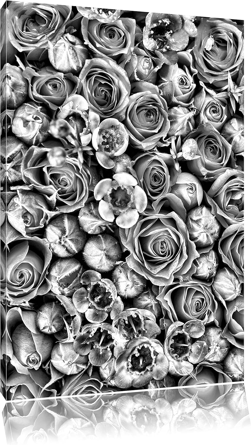 Pixxprint Rosa Rote Roten als Leinwandbild/Grösse: 100x70 / Wandbild/Kunstdruck/fertig bespannt, 100