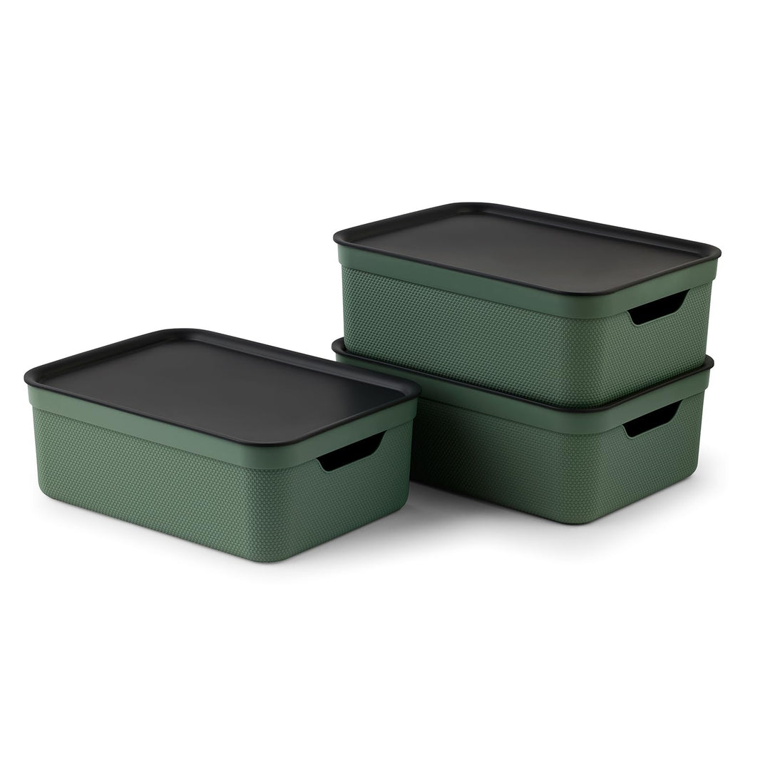 Rotho Jive 3er-Set Aufbewahrungsbox 10l mit Deckel Grün, Grün