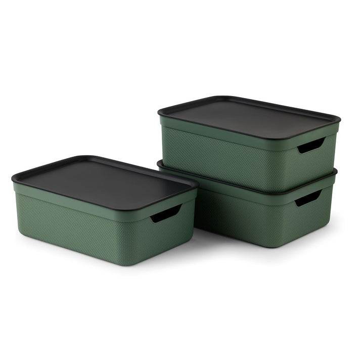 Rotho Jive 3er-Set Aufbewahrungsbox 10l mit Deckel Grün, Grün