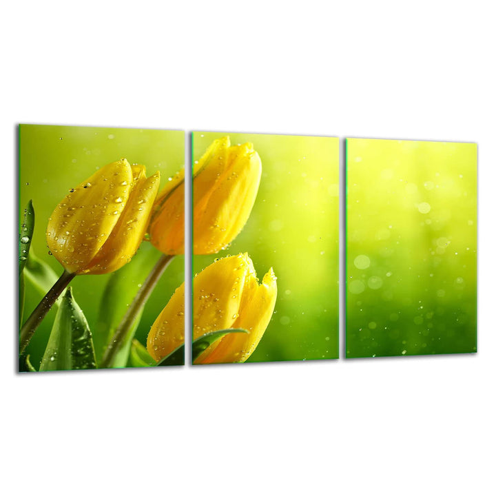 TMK | Herdabdeckplatten ceranfeld 3 Teilig 30x52 cm | Ceranfeldabdeckung Küche Elektroherd Induktion