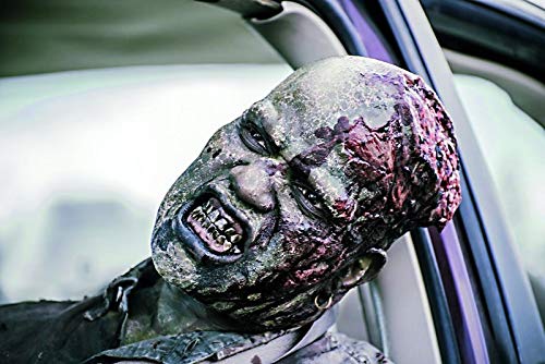 Z Nation - Staffel 5 (UNCUT-Edition) [Blu-ray], Blu-ray