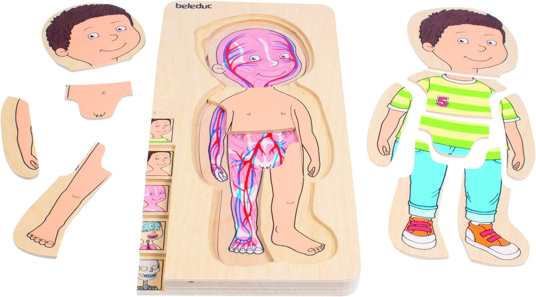 Beleduc Lagen-Puzzle "Dein Körper" Junge aus Holz, Anatomie Lernpuzzle für Kinder, ab 4 Jahren, Lage
