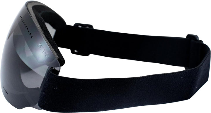 Birdz Thrush Sportbrille für Fallschirmspringen, Snowboarden, Motorradfahren, Rauchglas