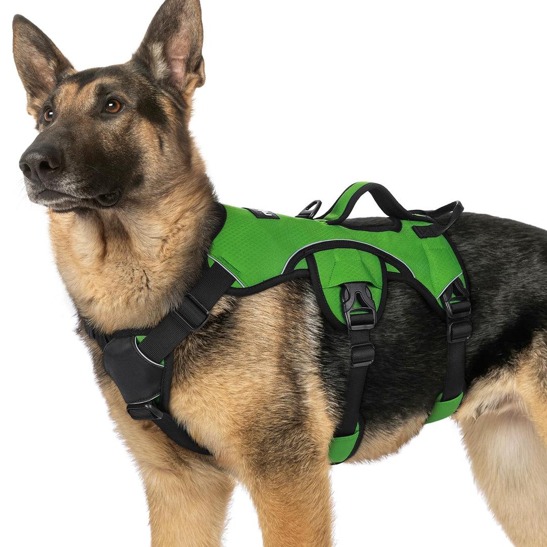 rabbitgoo Ausbruchsichere Hundegeschirr Grosse Hunde mit Griff, Anti Zug Sicherheitsgeschirr Hund At
