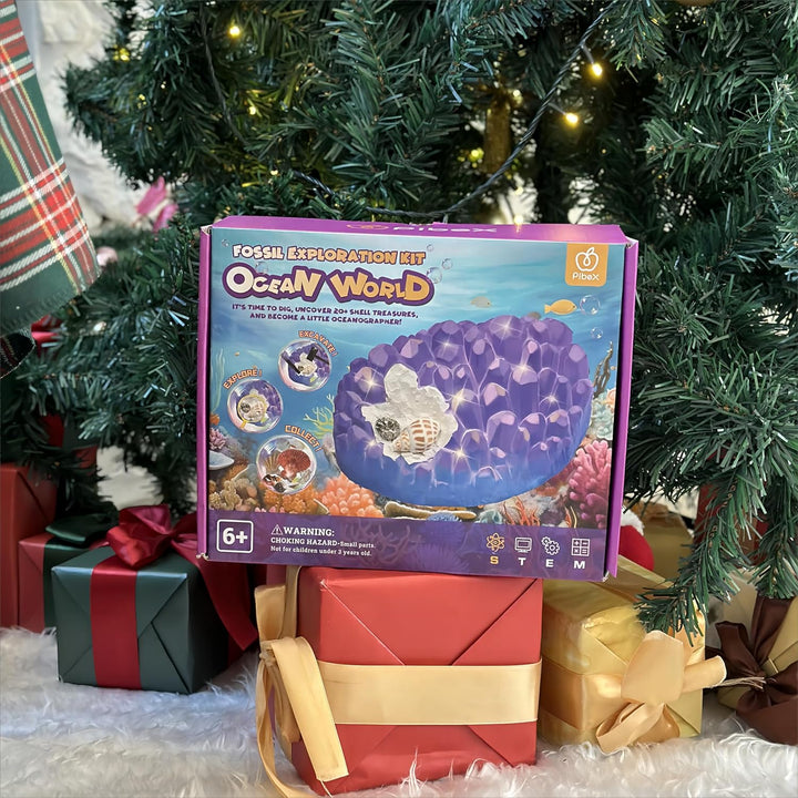 Ocean Fossil Dig Kit, Graben Sie mehr als 20 echte Muscheln und Schnecken aus, lustiges wissenschaft