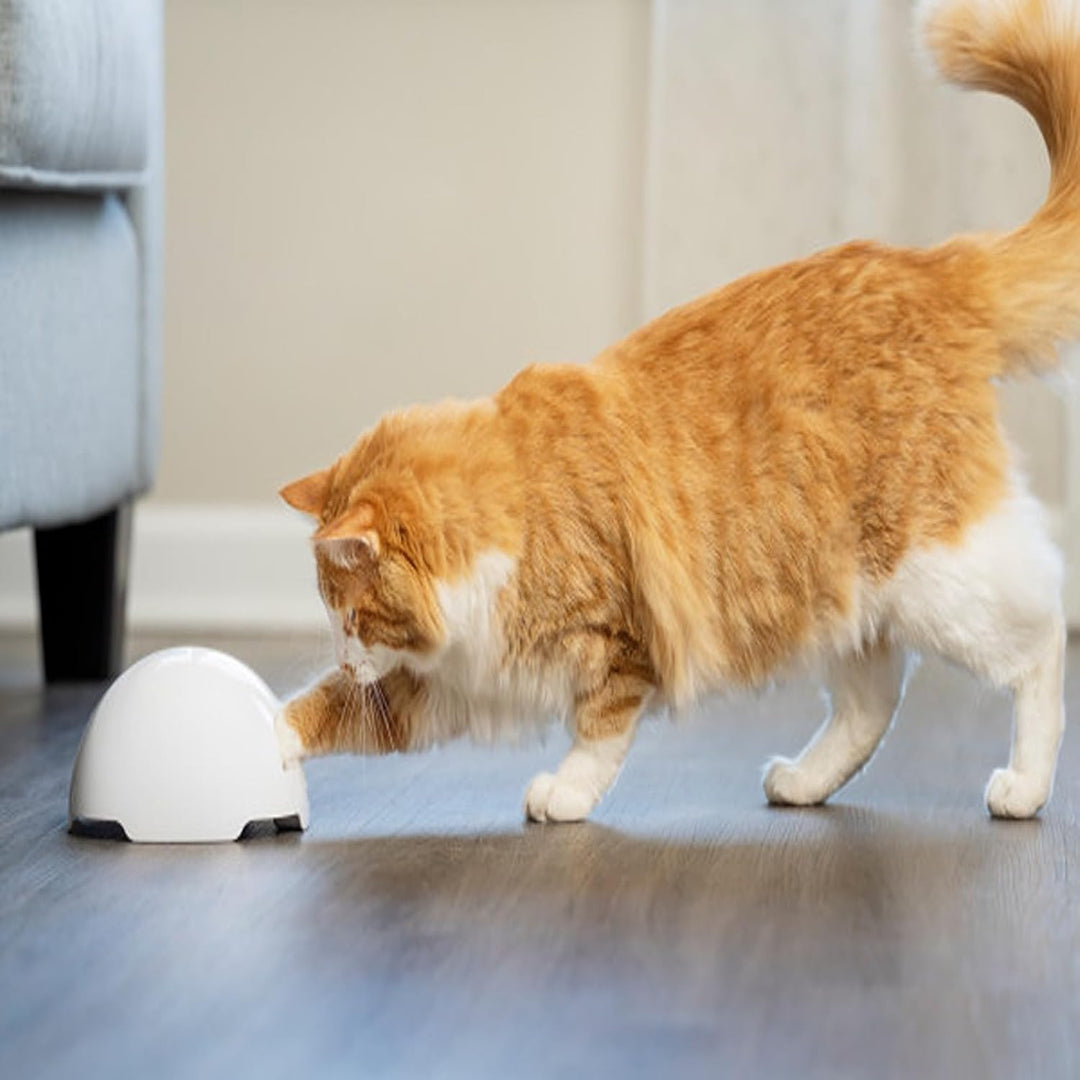 PetSafe Fuchsbau Katzenspielzeug, Interaktives Beschäftigungsspielzeug mit Fuchsschwanz, ‎3 AA Batte