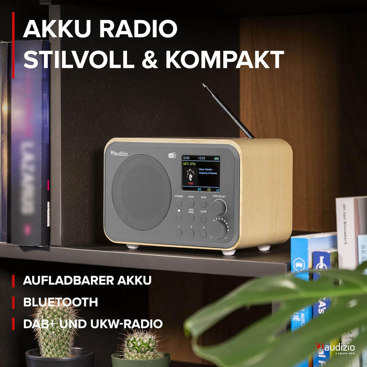 Audizio Milan DAB Radio mit Bluetooth, 10 Stunden Akku Radio 2000 mAh, Radiowecker mit Sleeptimer, L