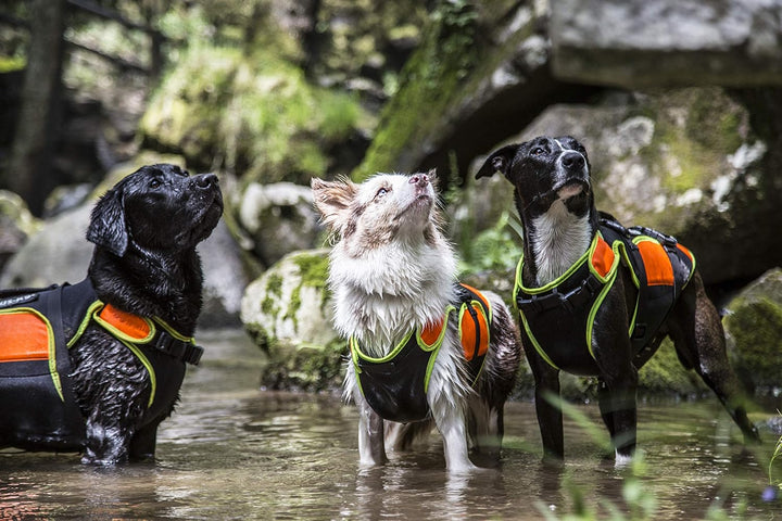 Julius-K9, IDC Multifunktionale Hundeweste 3in1, Grösse: S, Schwarz und UV Orange S Schwarz und Neon