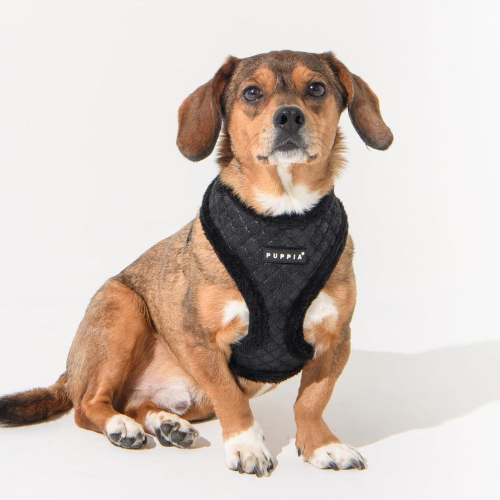 Puppia Douglas Hundegeschirr Überkopf Warm Winter Rautenmuster Verstellbare Brust für Kleine Mittler