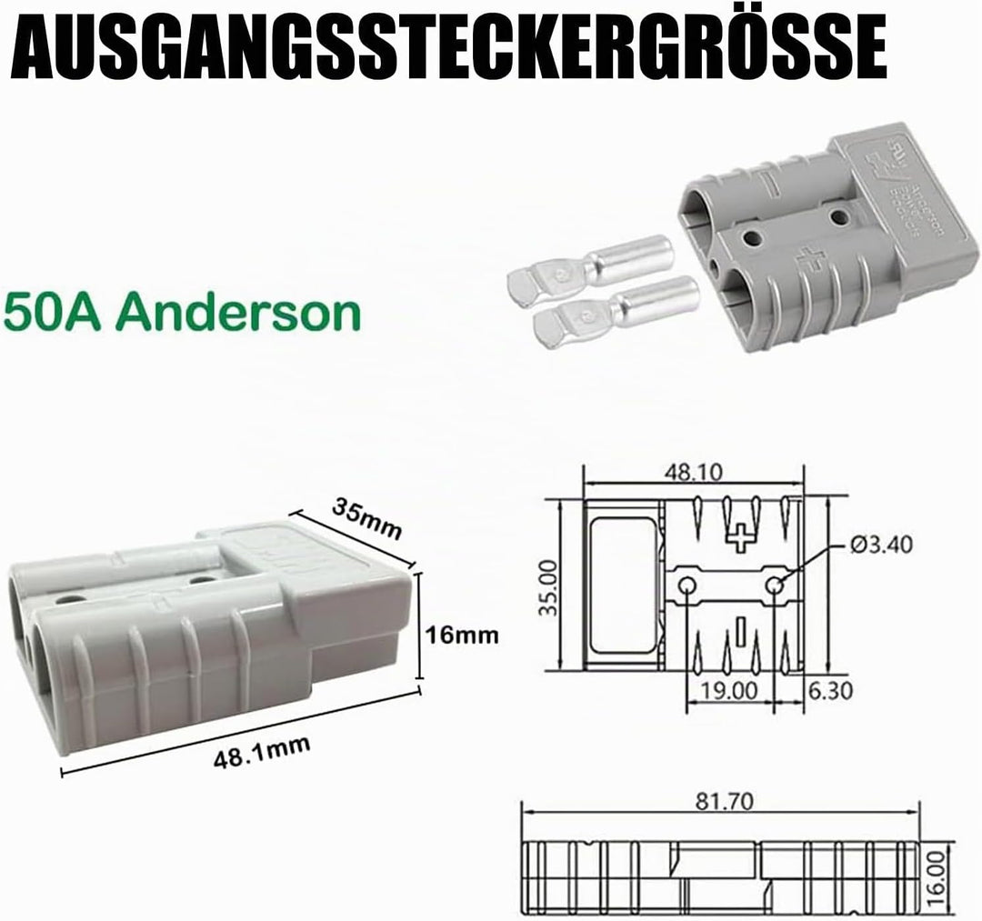 QDD 29,2 V 10 A Lifepo4-Ladegerät 220 V mit Lüfter Lithium-Batterie-Ladegerät Mehrere Schutzfunktion