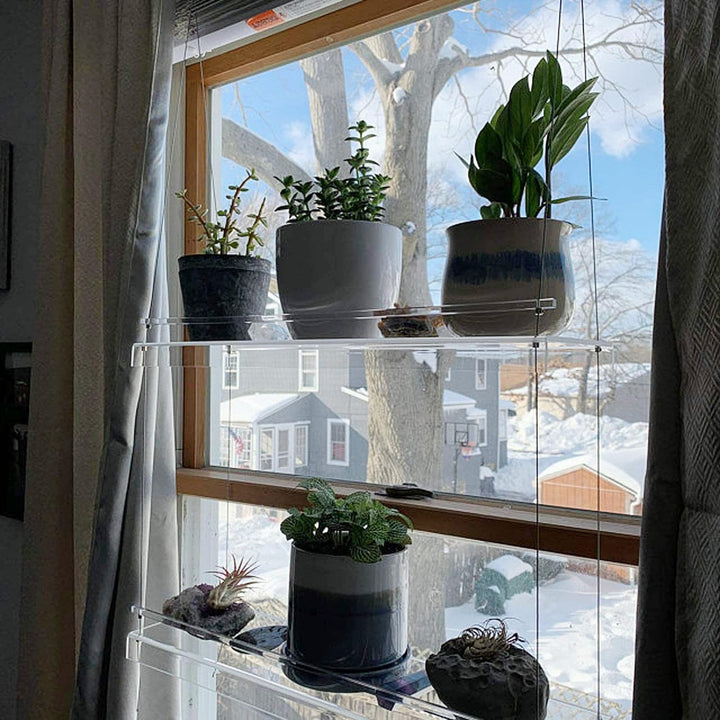 Fenster-Pflanzenregal, Durchsichtige Hängende Wandregale mit Seil, Kunststoff-Lagerregal für Pflanze