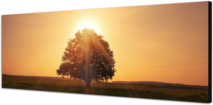 Paul Sinus Art Panoramabild auf Leinwand und Keilrahmen 150x50cm Wiese Baum Dämmerung Sonnenuntergan