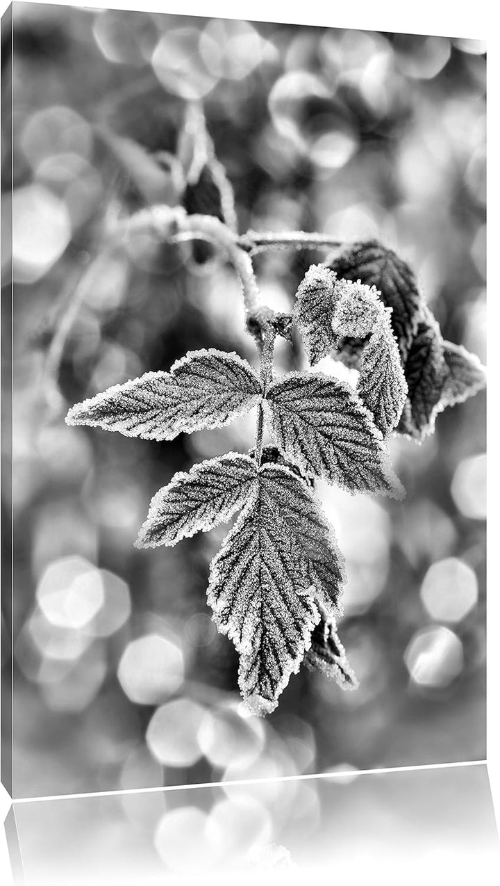 Pixxprint Blätter im Winter Morgenfrost als Leinwandbild/Grösse: 100x70 / Wandbild/Kunstdruck/fertig