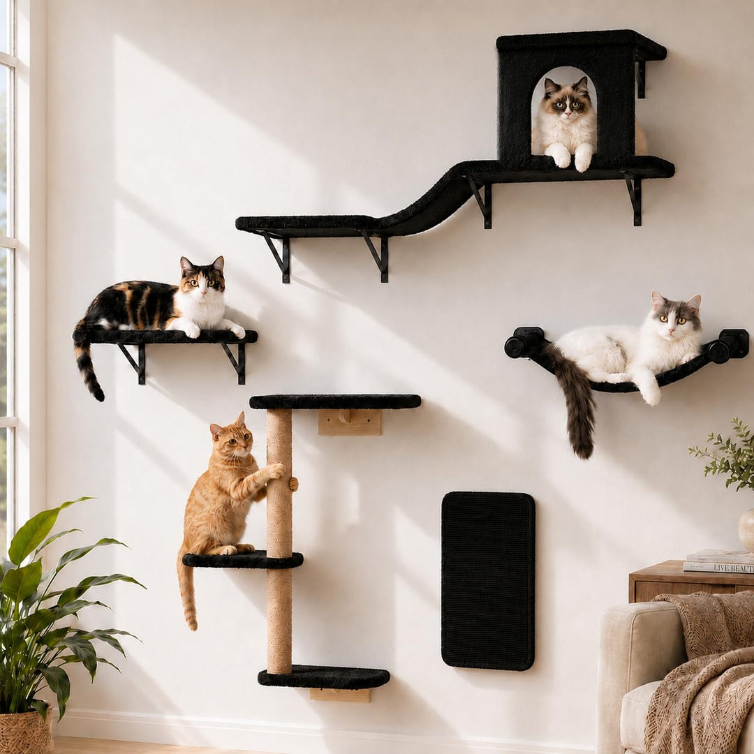 Kletterwand Katzen, 5-in-1 Katzen Kletterwand Set, Stabiler Katzenmöbel für den Innenbereich mit Hän