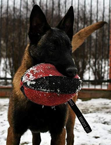 Dingo Gear Trainings-Spielzeug Nylcott French Material Training Spiel Apport IGP K9 Obedience Apport