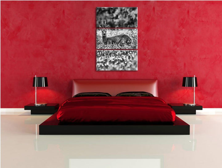 Pixxprint Monocrome, junger Hirsch auf Wildwiese 3-Teiler Leinwandbild 120x80 Bild auf Leinwand