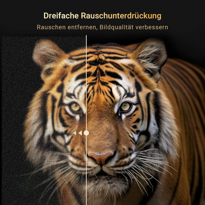 RCA E22-RH1C.T21 TV 22 Zoll(56cm) 230v/12v KFZ-Adapter Fernseher LED,Dolby Audio,Triple Tuner,VGA/HD