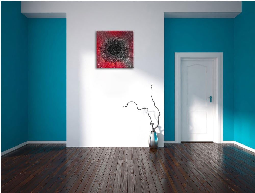 Pixxprint Rote Gerbera mit Wassertropfen als Leinwandbild/Grösse: 70x70 cm/Wandbild/Kunstdruck/ferti