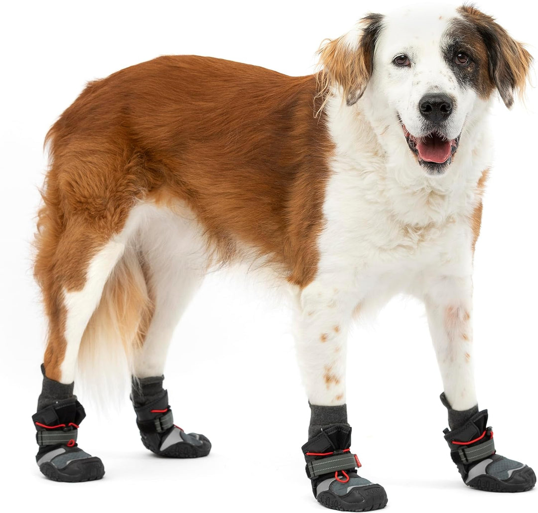 Kurgo Hundeschuhe Blaze Cross - Ganzjahres-Pfotenschutz - wasserfest, reflektierend, rutschfest - in