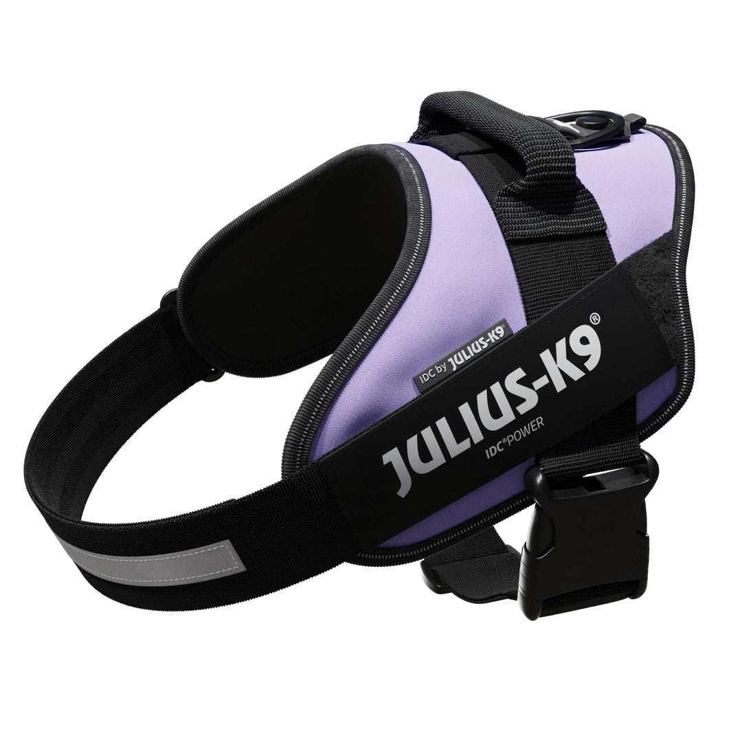 IDC Powergeschirr, Grösse: L/1, Violett Violett L/1, Violett L/1