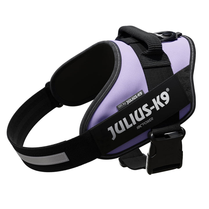 IDC Powergeschirr, Grösse: L/1, Violett Violett L/1, Violett L/1