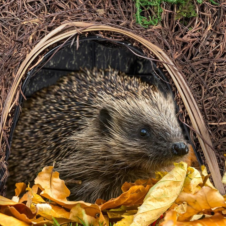 Relaxdays Igelhaus, Stroh, Igelhotel ohne Boden, Winterquartier für Igel im Garten, HBT: 21 x 32 x 4