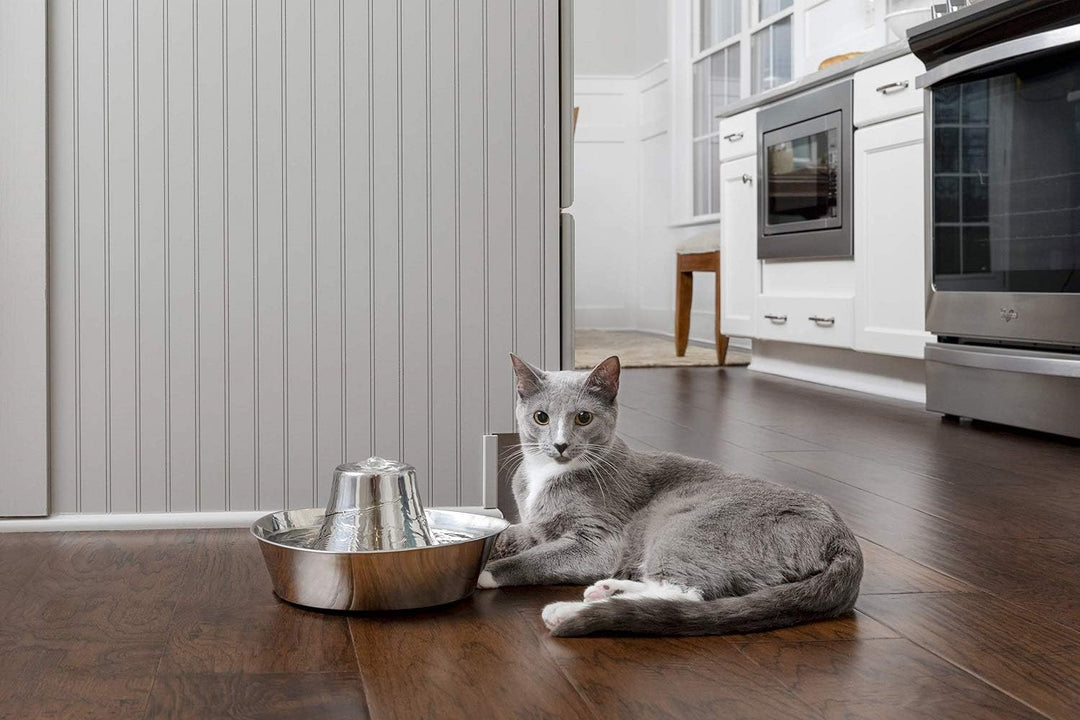 PetSafe Edelstahl-Trinkbrunnen Seaside, Sauberes Trinkwasser für Katzen und Hunde, Leiser Betrieb, 1