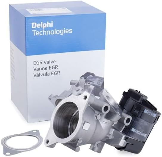 Delphi EG10396-12B1 Agr-Ventil