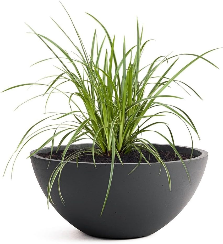 Pflanzwerk® Pflanzkübel Pflanzschale Bowl Ø 36cm Anthrazit *Frostbeständige Blumenschale* *Premiumqu