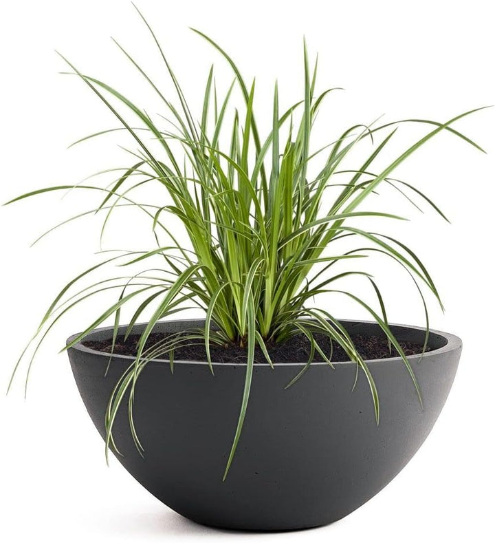 Pflanzwerk® Pflanzkübel Pflanzschale Bowl Ø 28cm Anthrazit *Frostbeständige Blumenschale* *Premiumqu
