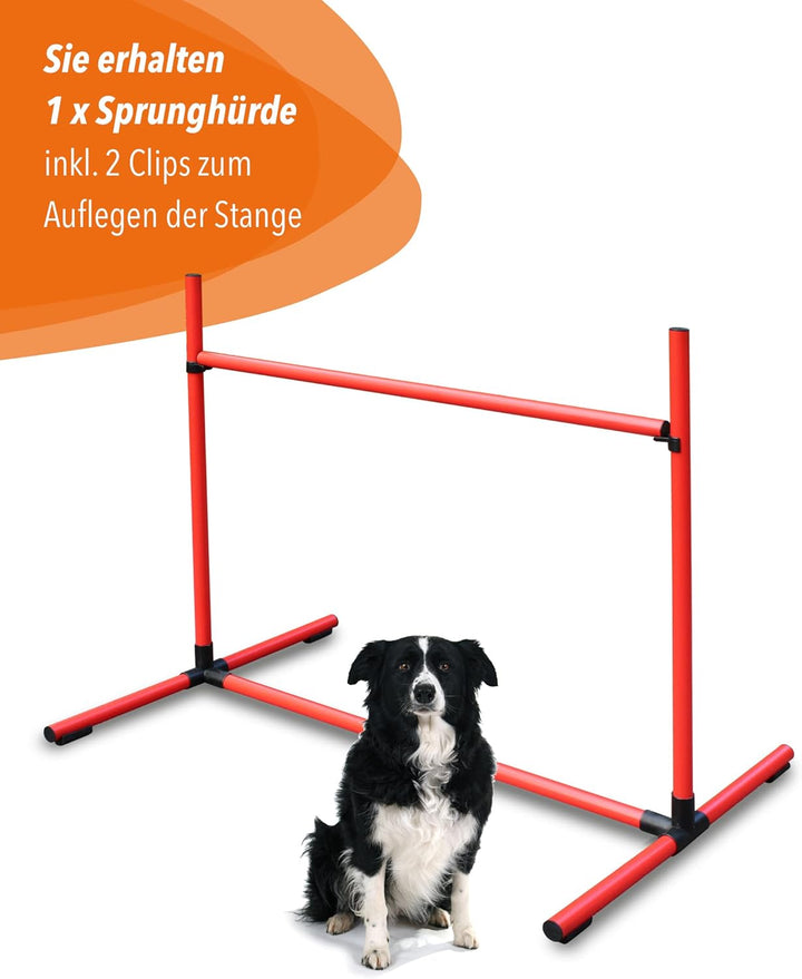 Sprunghürde aus Kunststoff – für Agility & Obedience – Parcours-Hindernis für Agility Training – Hür