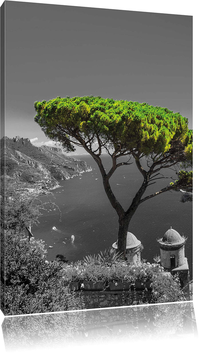 Pixxprint Mediteraner Baum am Mittelmeer als Leinwandbild/Grösse: 100x70 cm/Wandbild/Kunstdruck/fert